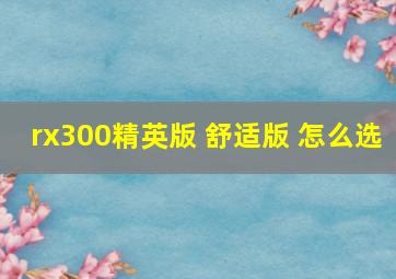 rx300精英版 舒适版 怎么选